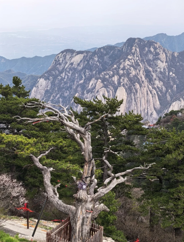 Travel photos of Weinan: Huashan Mountain China