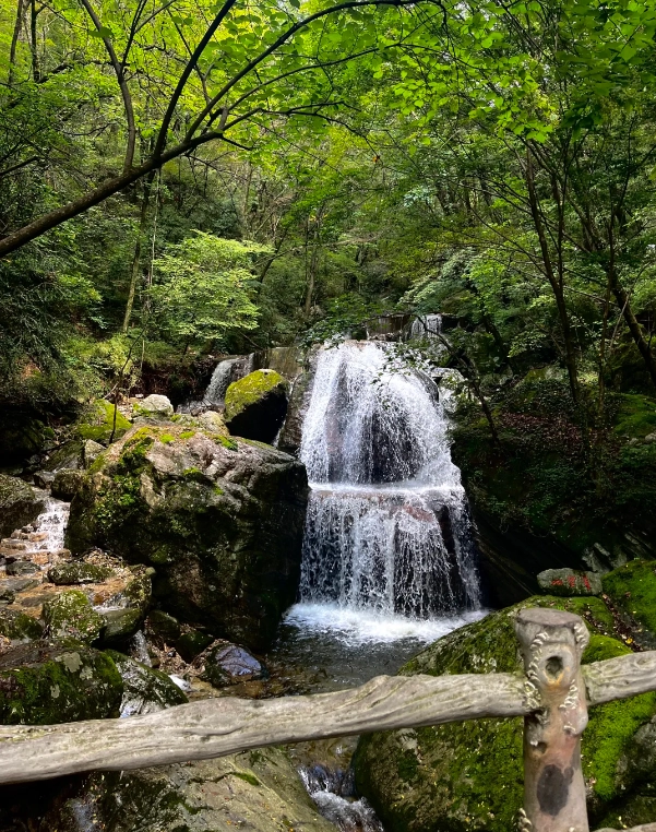 Travel photos of Shangluo: Qinling Mountains travel