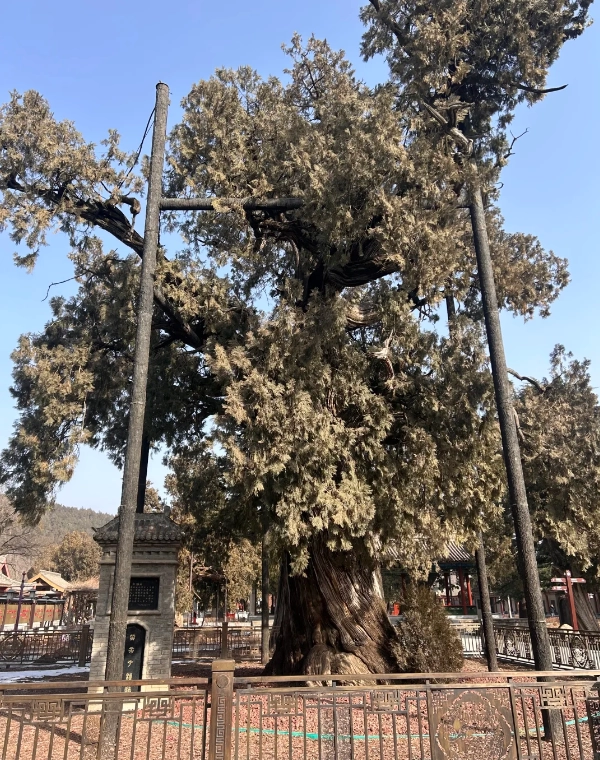 Travel photos of Yan'an: accommodation in Huangling County