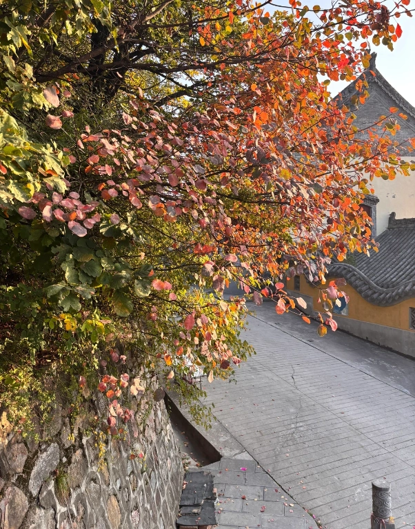 Zhaojin Xiangshan travel