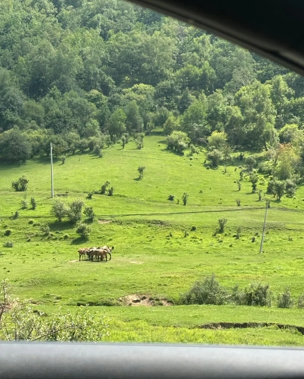 Guanshan Grassland travel Guanshan Grassland travel