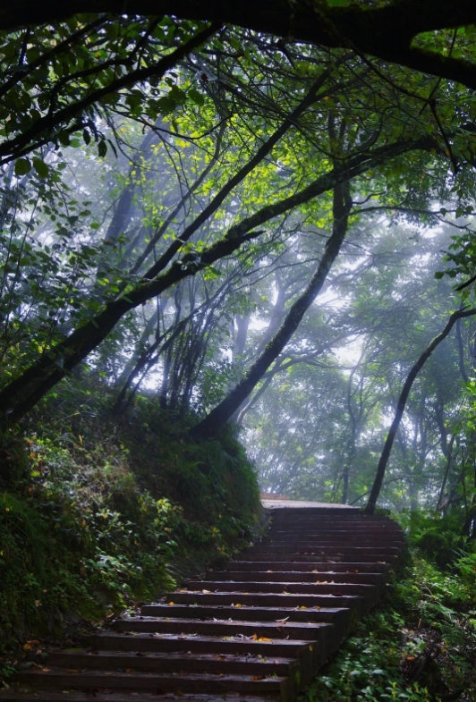 Travel photos of Ankang: Shaanxi forest park souvenirs