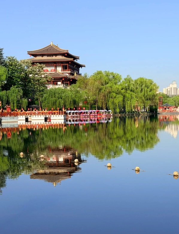 Tang Paradise Xi'an Tang Paradise Xi'an