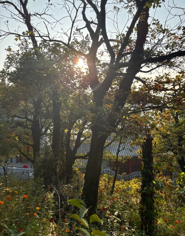 Zhaojin Xiangshan scenic area