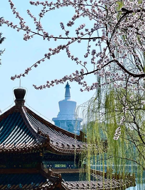 Travel photos of Beijing: Nine-Dragon Wall