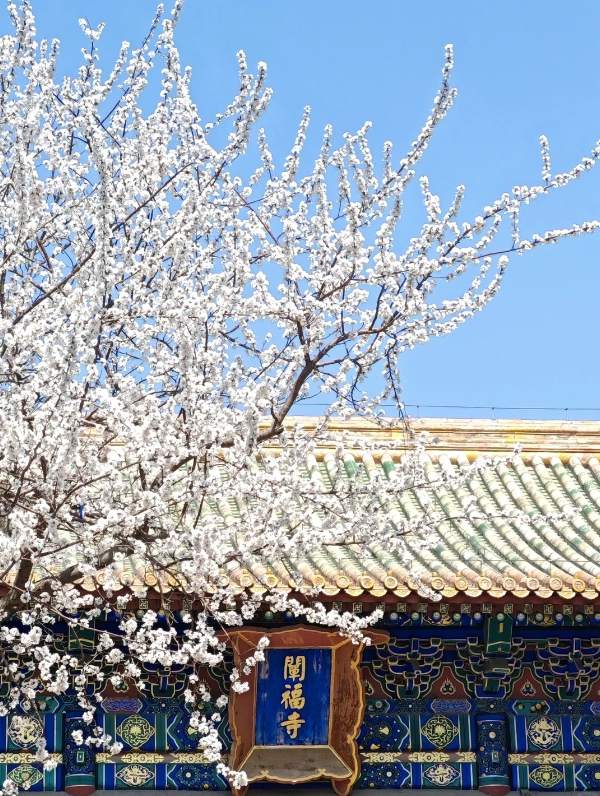 Travel photos of Beijing: Beihai Park tickets