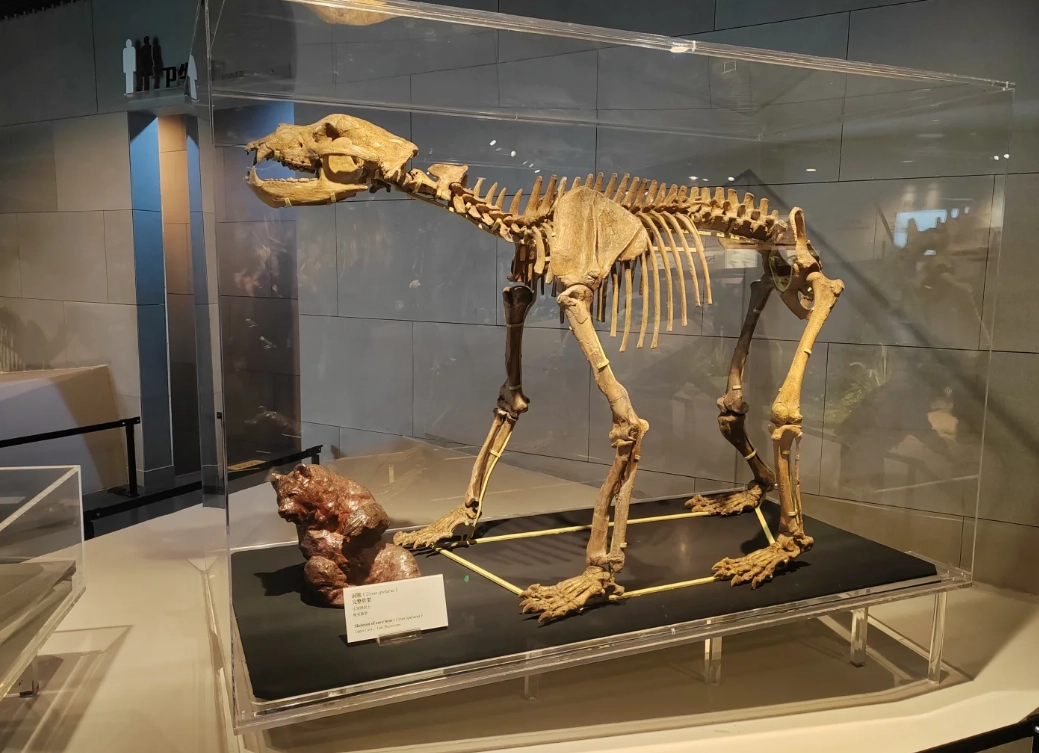 Travel photos of Beijing: Peking Man