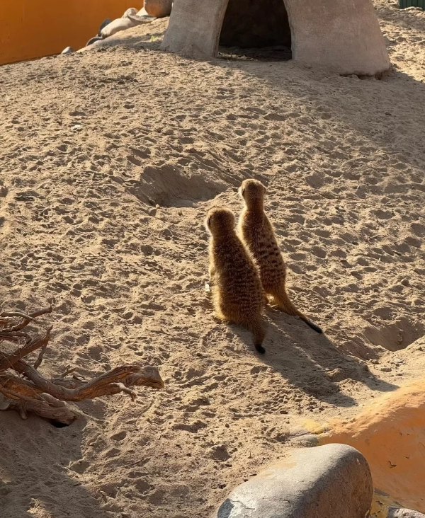 Beijing Wildlife Park hours