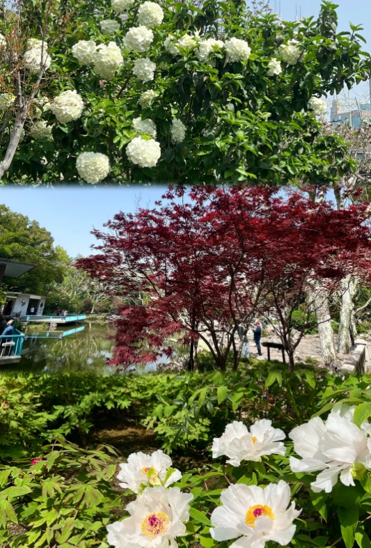 Photo of Fuxing Park: Fuxing Park tickets