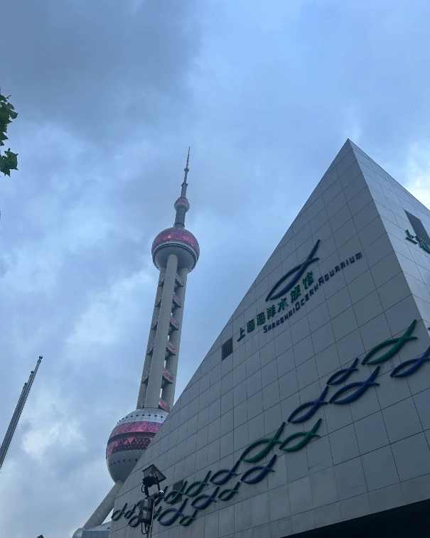 Travel photos of Shanghai: Shanghai aquarium