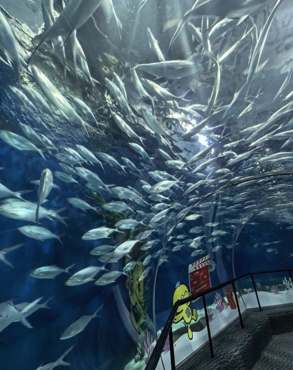 Travel photos of Shanghai: Lujiazui aquarium