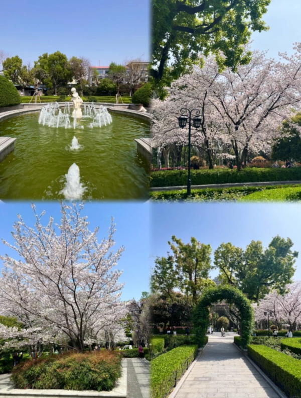 Photo of Fuxing Park: Fuxing Park Shanghai