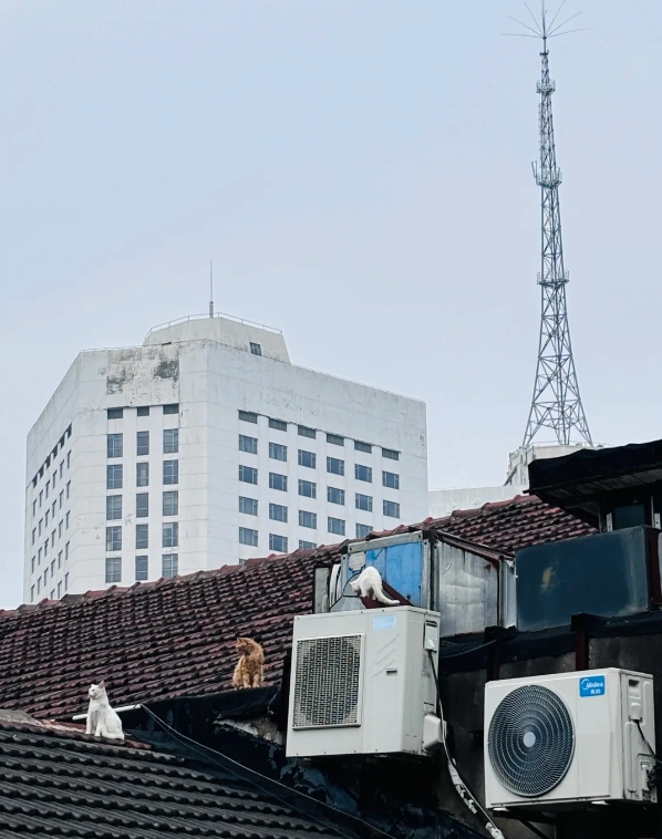 Photo of M50 Art District: Suzhou Creek art