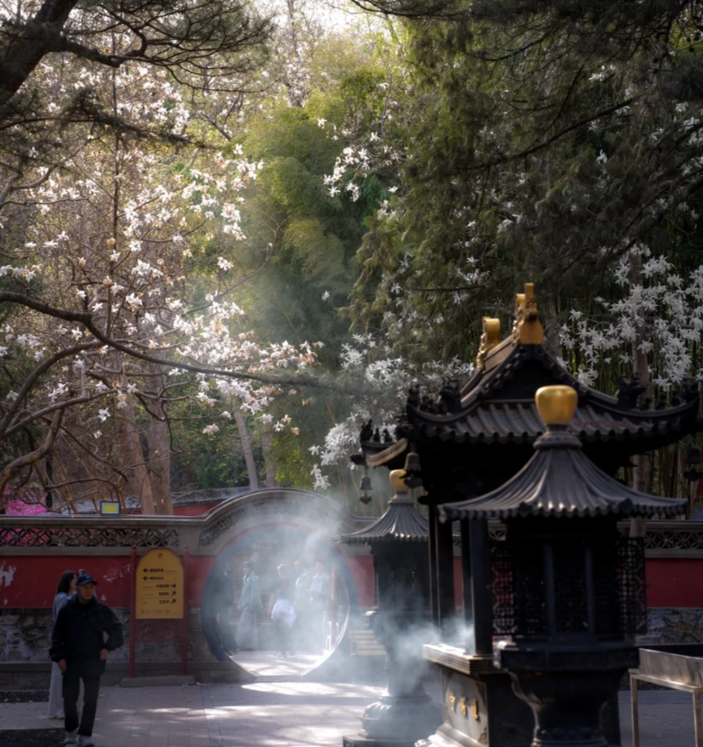 visit Tanzhe Park