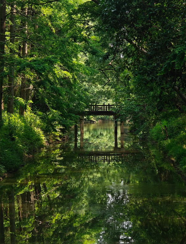 Dongping National Forest Park