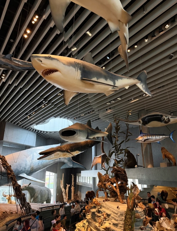Photo of Shanghai Natural History Museum: Shanghai travel guide