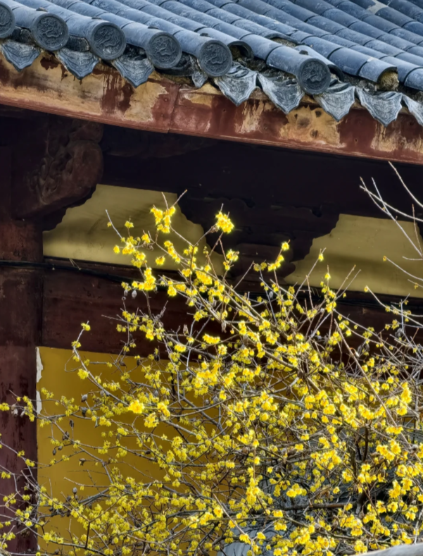 Photo of Longhua Temple