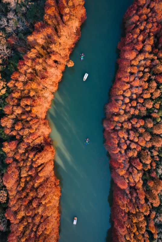 Haiwan National Forest Park