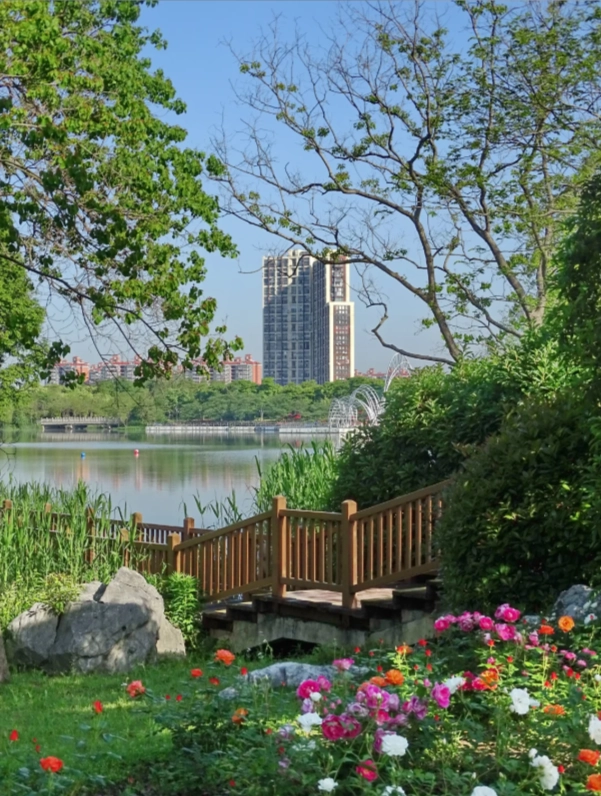 Gucun Park Shanghai: A Complete Visitor's Guide for Cherry Blossoms & More
