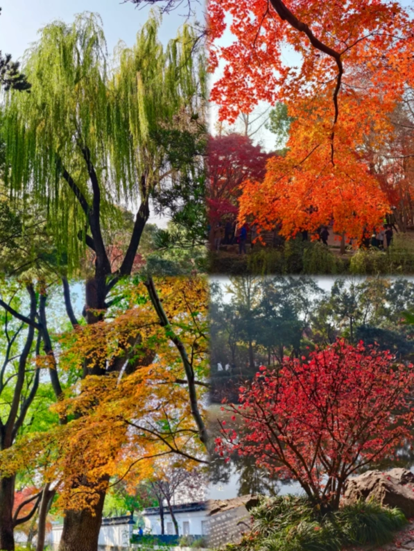 how to get to Qiuxiapu Garden