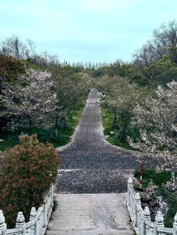 nature reserve Xiamen