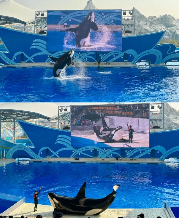 Shanghai aquarium Shanghai aquarium