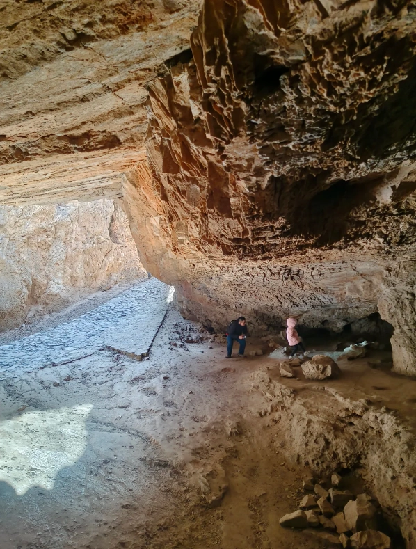 homo erectus fossils homo erectus fossils