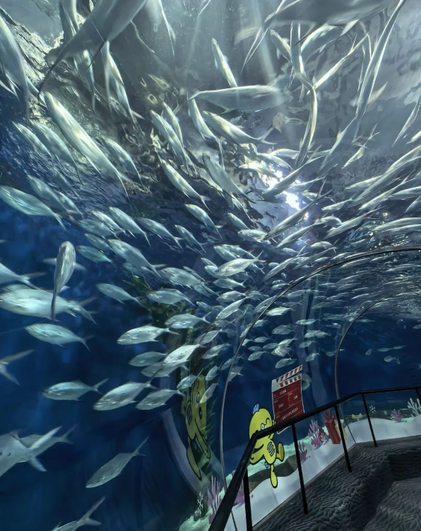 Shanghai aquarium hours plan Shanghai aquarium hours plan