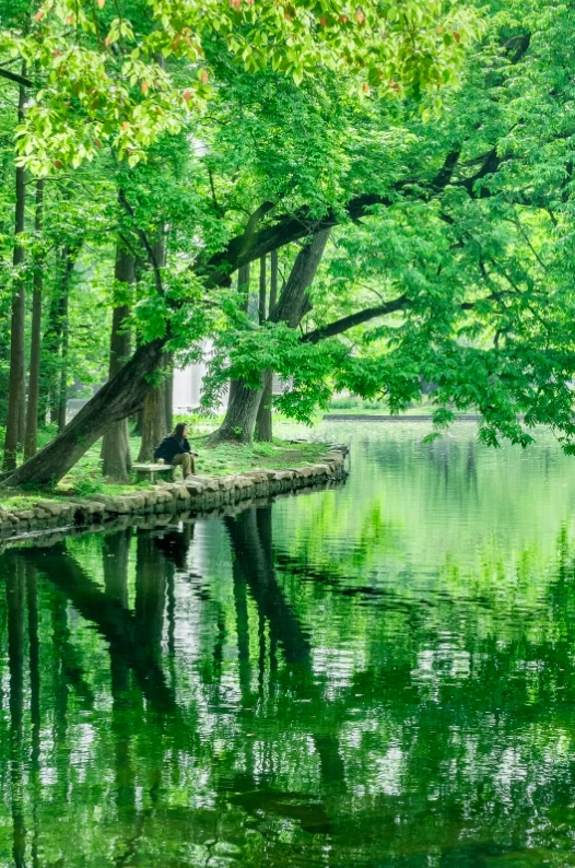 Shanghai picnic spots Shanghai picnic spots