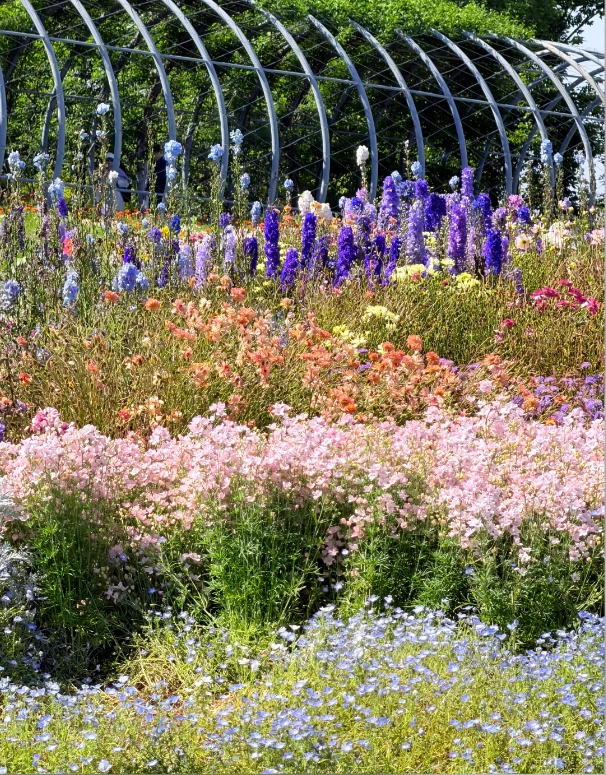 Shanghai botanical garden