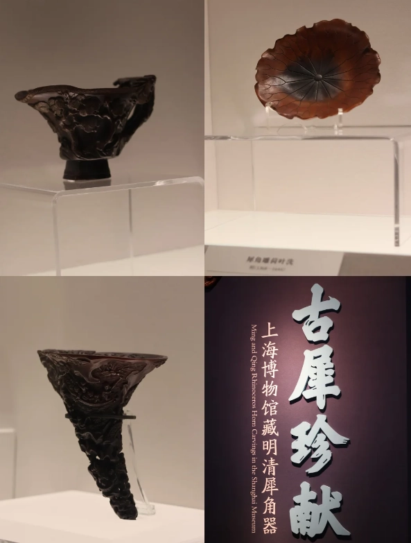 what to see in Shanghai Museum what to see in Shanghai Museum