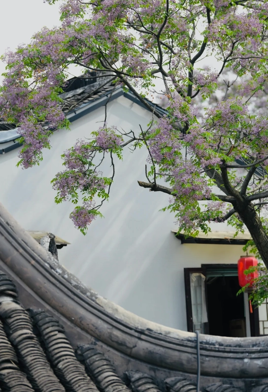 Qibao travel guide Qibao travel guide