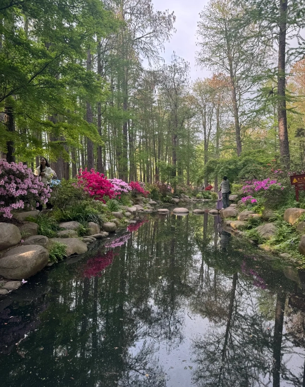 Shanghai Gongqing Forest Park Shanghai Gongqing Forest Park