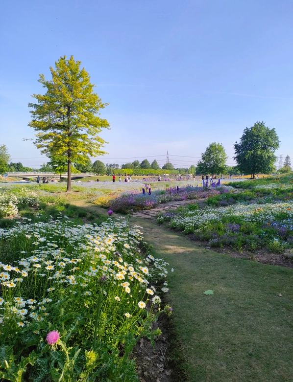 best gardens in China best gardens in China
