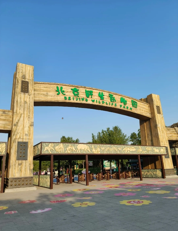 How to Buy Beijing Wildlife Park Tickets: A Local's Guide to Saving Money & Time