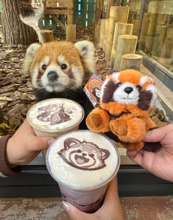 what to buy at Beijing Wildlife Park what to buy at Beijing Wildlife Park