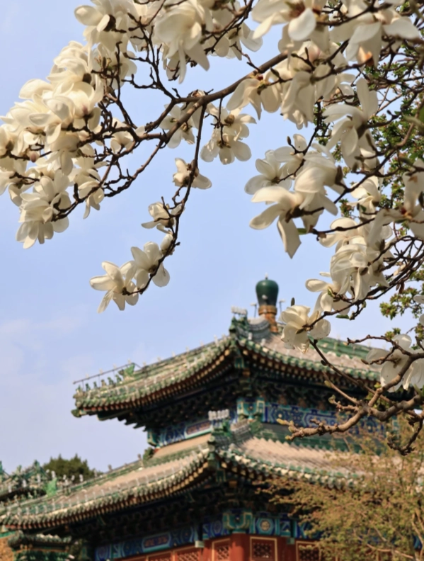 Beijing family activities