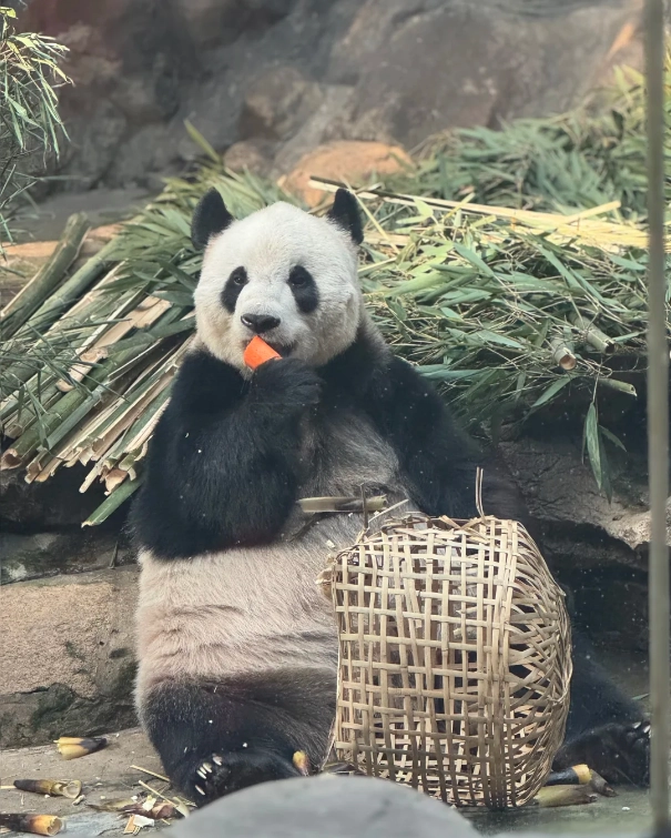 family friendly Beijing