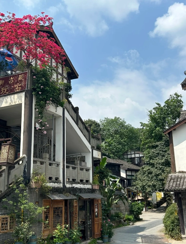 Photo of Ci Qi Kou Ancient Town: Chongqing travel