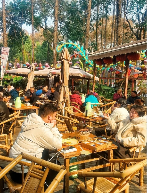 Chengdu panda tour