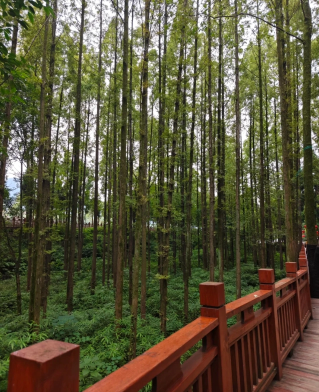 Photo of Dujiangyan Irrigation System: Dujiangyan travel guide