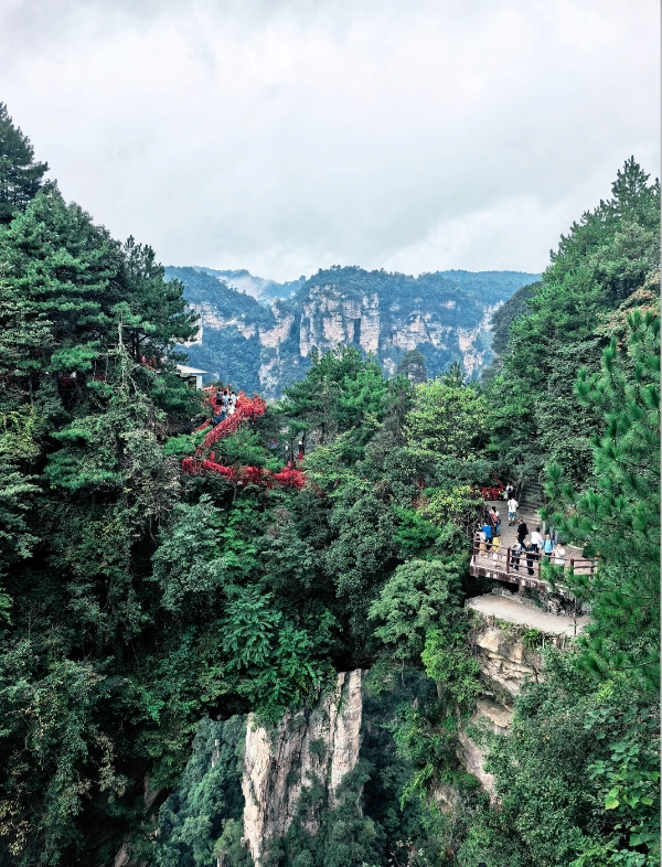Zhangjiajie National Forest Park Zhangjiajie National Forest Park