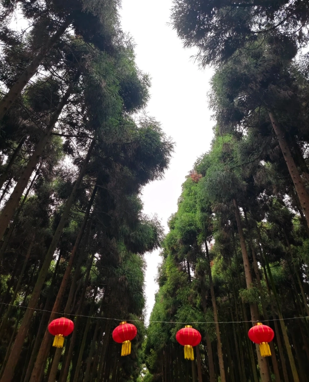 Photo of Dujiangyan Irrigation System: water conservation heritage