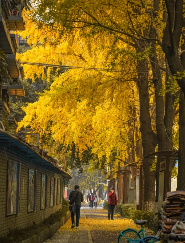 Chengdu weather guide Chengdu weather guide