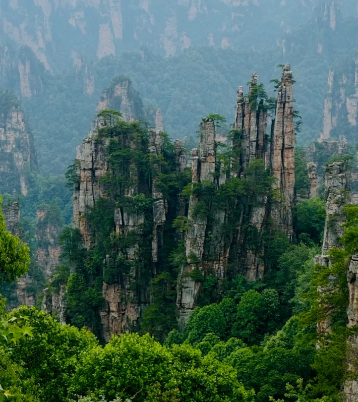 Zhangjiajie National Forest Park Zhangjiajie National Forest Park
