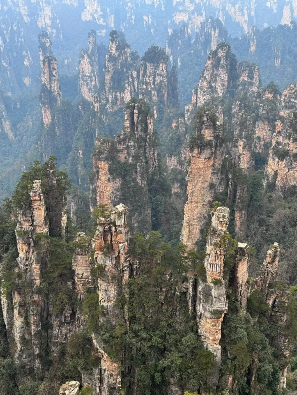 Zhangjiajie National Forest Park Zhangjiajie National Forest Park