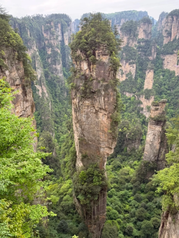 Zhangjiajie National Forest Park Zhangjiajie National Forest Park
