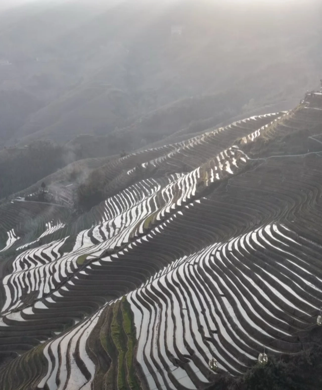 Travel photos of Guilin: Longji Rice Terraces travel guide