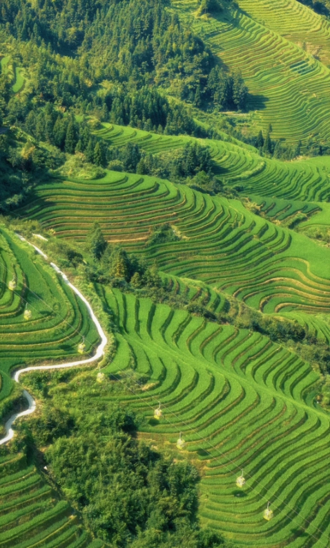 Travel photos of Guilin: Guilin to Yangshuo