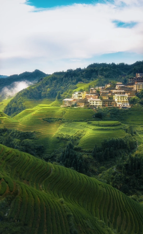 Photo of Li River: Longji Rice Terraces
